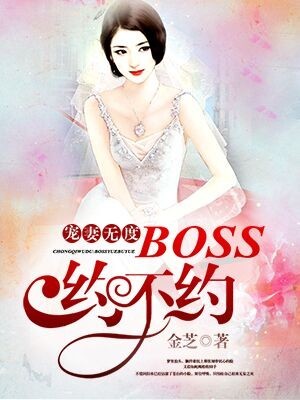 小说：宠妻无度：boss约不约，作者：金芝