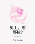 小说：男主，您哪位？，作者：幽谷凝馨