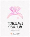 小说：重生之从1984开始，作者：中年的银杏叶