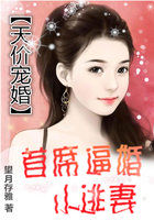 小说：天价宠婚：首席逼婚小逃妻，作者：望月存雅