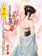 小说：扑上粉嫩小娇妻：当心，夫君是饿狼，作者：络汐颜