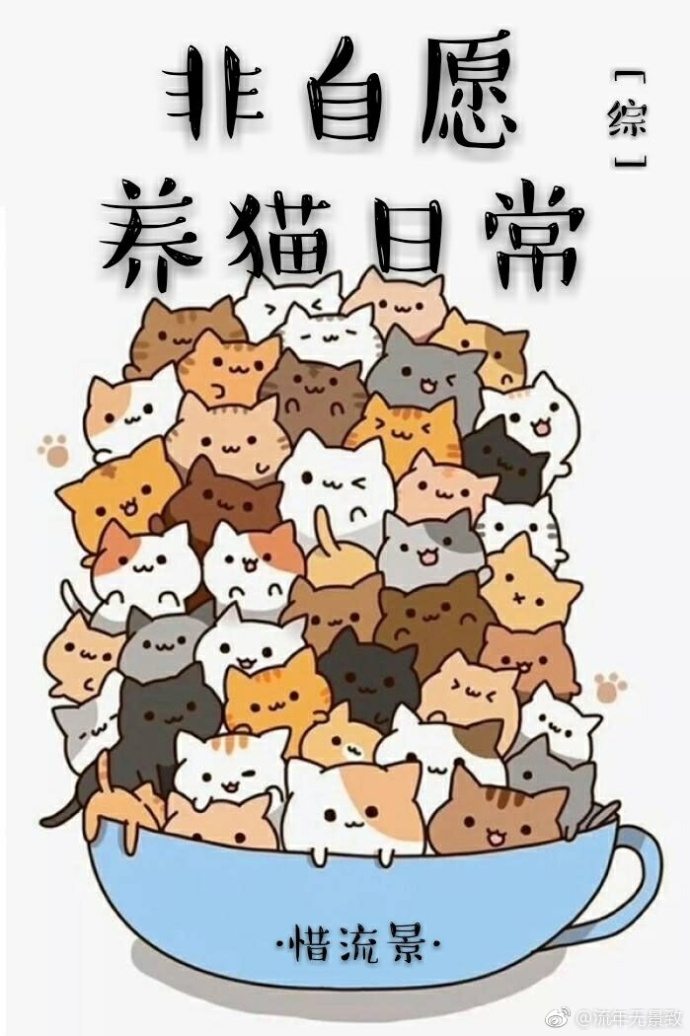 小说：[综]非自愿养猫日常，作者：惜流景