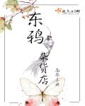 小说：东鸦杂货店，作者：南乔未央