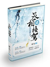 小说：医色撩人：丞相，请接驾，作者：时九