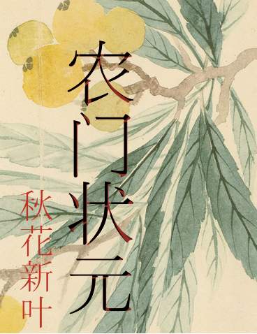 小说：农门状元，作者：秋花新叶