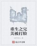 小说：重生之完美被打脸，作者：说梦话的人