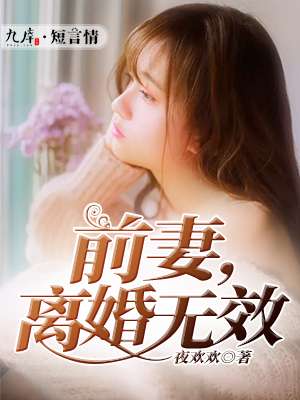 小说：前妻，离婚无效，作者：夜欢欢