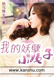 小说：我的妖孽小姨子，作者：怒马照云