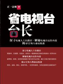 小说：省电视台台长，作者：正一法师