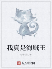 小说：我真是海贼王，作者：公子剑北