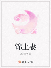 小说：锦上妻，作者：诗雨如梦