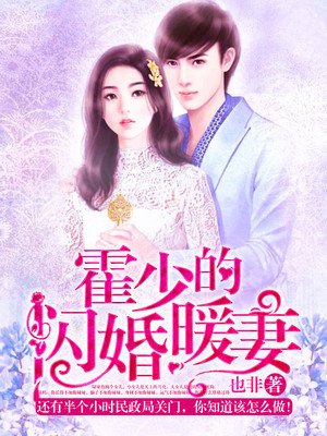 小说：霍少的闪婚暖妻，作者：也非