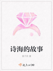 小说：诗海的故事，作者：曾子获