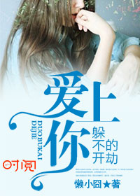 小说：爱上你，躲不开的劫，作者：懒小囧