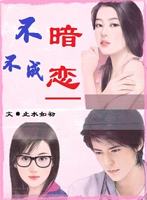 小说：不暗不成恋，作者：止水如初