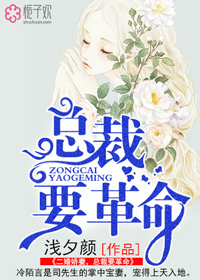 小说：二婚娇妻，总裁要革命，作者：浅夕颜
