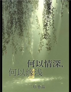 小说：何以情深，何以缘浅，作者：二月
