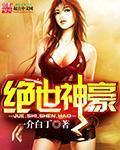 小说：绝世神豪，作者：一介白丁