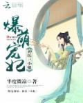 小说：爆宠萌妃：神医三小姐！，作者：半度微凉