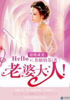 小说：错婚成爱：Hello，老婆大人！，作者：焦糖奶茶