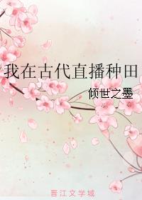 小说：我在古代直播种田，作者：倾世之墨