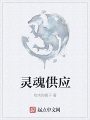 小说：灵魂供应，作者：吃肉的蝎子