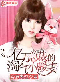 小说：亿万总裁的淘气小暖妻，作者：苔痕墨迹