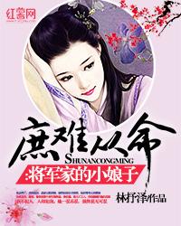 小说：庶难从命：将军家的小娘子，作者：林抒泽