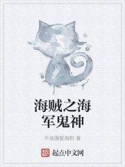 小说：海贼之海军鬼神，作者：不急躁爱海豹
