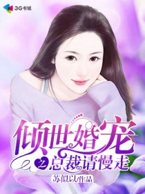 小说：倾世婚宠之总裁请慢走，作者：苏似以