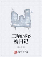 小说：二哈的秘密日记，作者：降山鬼
