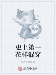 小说：史上第一花样混穿，作者：油炸大鸡腿
