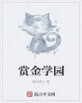 小说：赏金学园，作者：彼岸原生