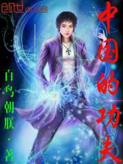 小说：中国的功夫，作者：百鸟朝朕