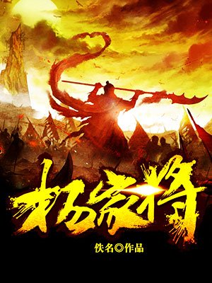 小说：杨家将，作者：佚名