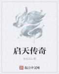 小说：启天传奇，作者：卧龙出山