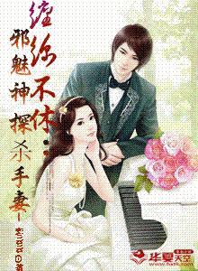 小说：缠绵不休：邪魅神探的杀手妻，作者：匿名