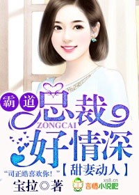 小说：甜妻动人，霸道总裁好情深，作者：宝拉