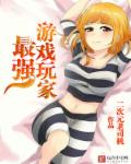 小说：最强游戏玩家，作者：二次元老司机