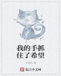 小说：我的手抓住了希望，作者：半音阶