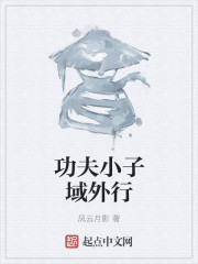 小说：功夫小子域外行，作者：风云月影