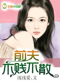 小说：前夫，不贱不散，作者：浅浅爱、