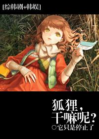 小说：[综韩剧+韩娱]狐狸，干嘛呢?，作者：它只是停止了