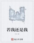 小说：若我还是我，作者：林白
