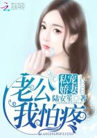 小说：私宠娇妻：老公，我怕疼，作者：陆安笙