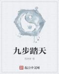 小说：九步踏天，作者：夜翊歌