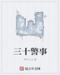 小说：三十警事，作者：聆听日出