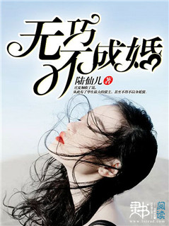 小说：无巧不成婚，作者：陆仙儿