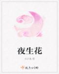 小说：夜生花，作者：古古易