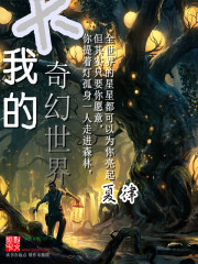 小说：我的大奇幻世界，作者：夏律